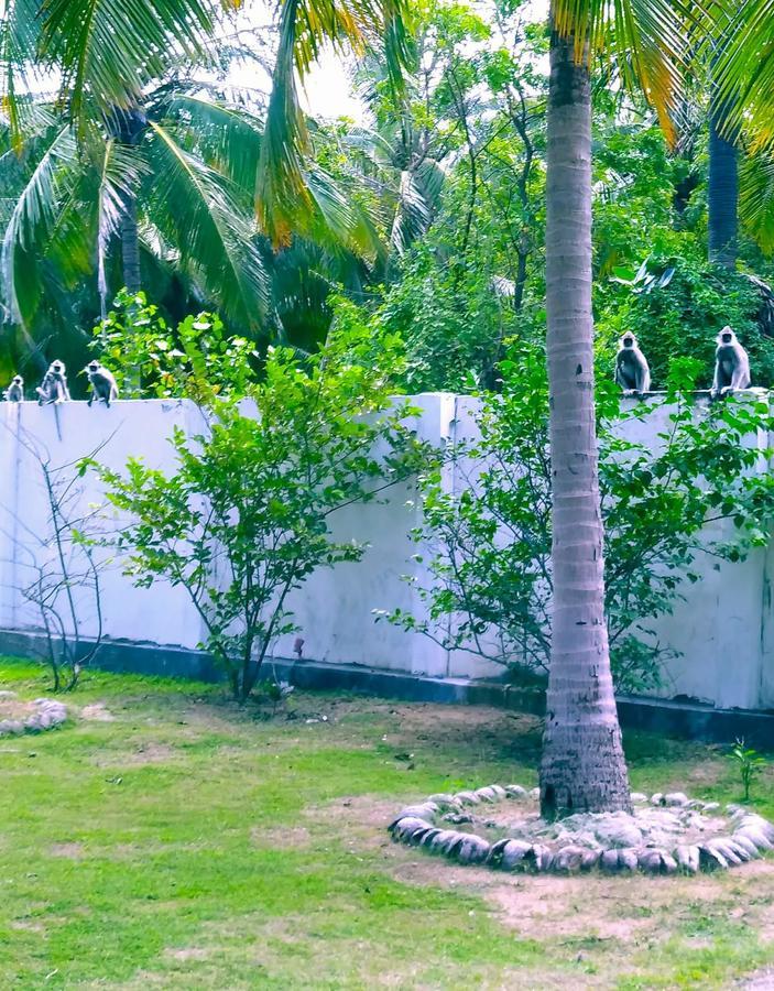 Pearl Oceanic Resort - Trincomalee Exterior foto